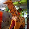 Giraffe slide
