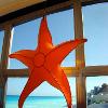 Sea star ambiance lamps